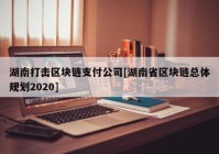 湖南打击区块链支付公司[湖南省区块链总体规划2020]