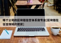 哪个公司的区块链信誉体系做专业[区块链在征信领域的现状]