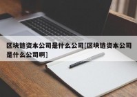 区块链资本公司是什么公司[区块链资本公司是什么公司啊]